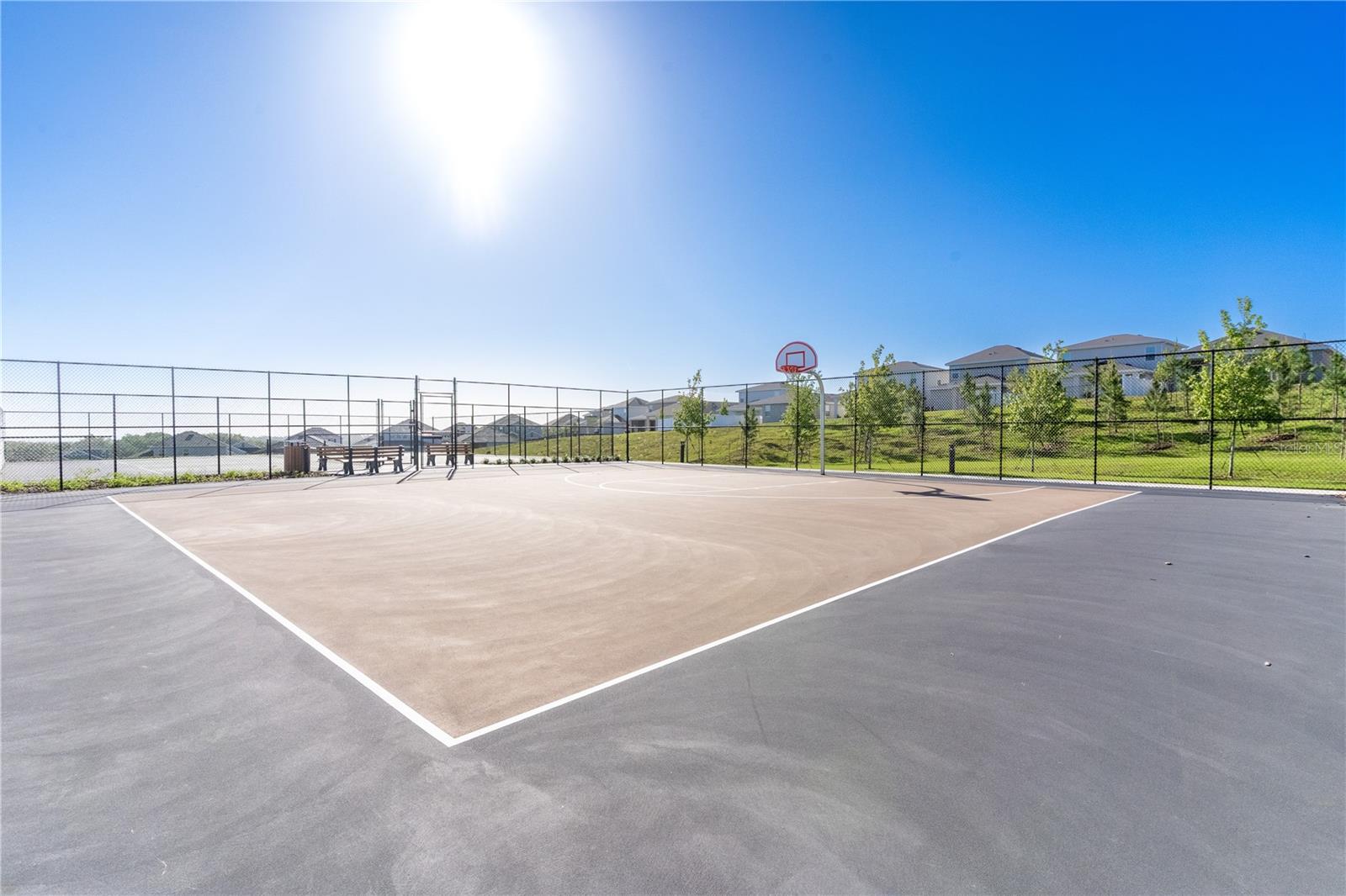 HILLS OF MINNEOLA 50' - Residential