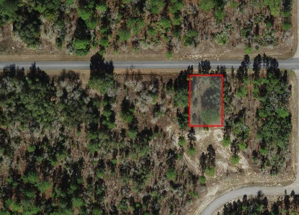 Photo of 2272 W Chamberlain Street, Dunnellon, FL 34434 (MLS # O6365414)