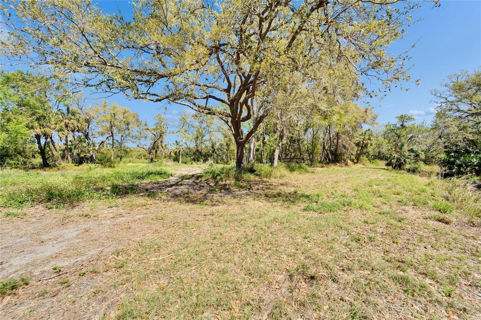 3106 TIMBERLEE ROAD