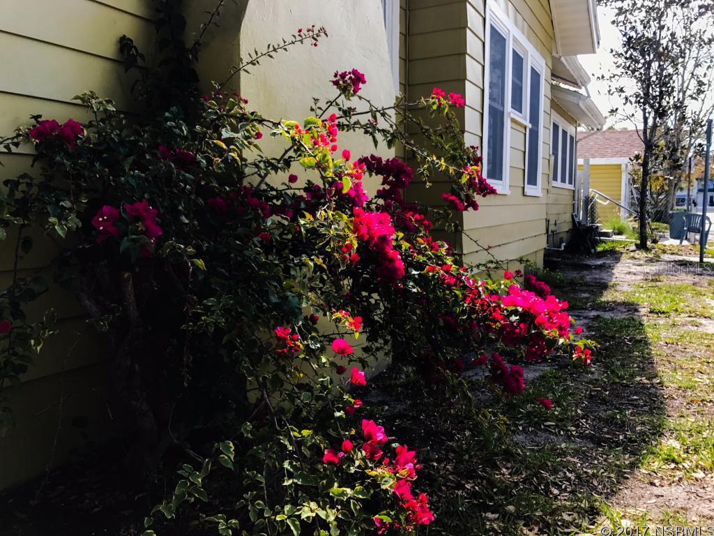 Zelia Sams New Smyrna - Residential