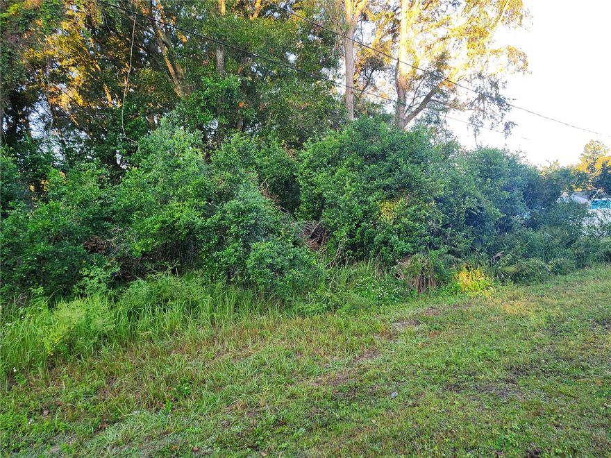 Discover the perfect spot to build your dream home in the fast-growing Silver Springs Shores community! This 0.23-acre residential lot at 90 Cedar Road offers a peaceful setting surrounded by natural beauty and newer homes under construction. Enjoy paved road access and a convenient location close to schools, shopping, parks, and dining. Just a short drive to downtown Ocala, Belleview, and The Villages, this area continues to attract new development and investment. Whether you’re planning your forever home or adding to your portfolio, this property provides the ideal opportunity to own land in one of Marion County’s most promising neighborhoods.