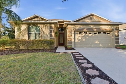 Photo of 10618 Blue Coral Lane, Tampa, FL 33647 (MLS # TB8460626)