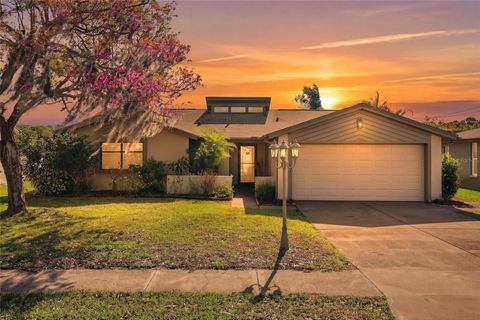 Photo of 1326 Flotilla Drive, Holiday, FL 34690 (MLS # TB8490188)