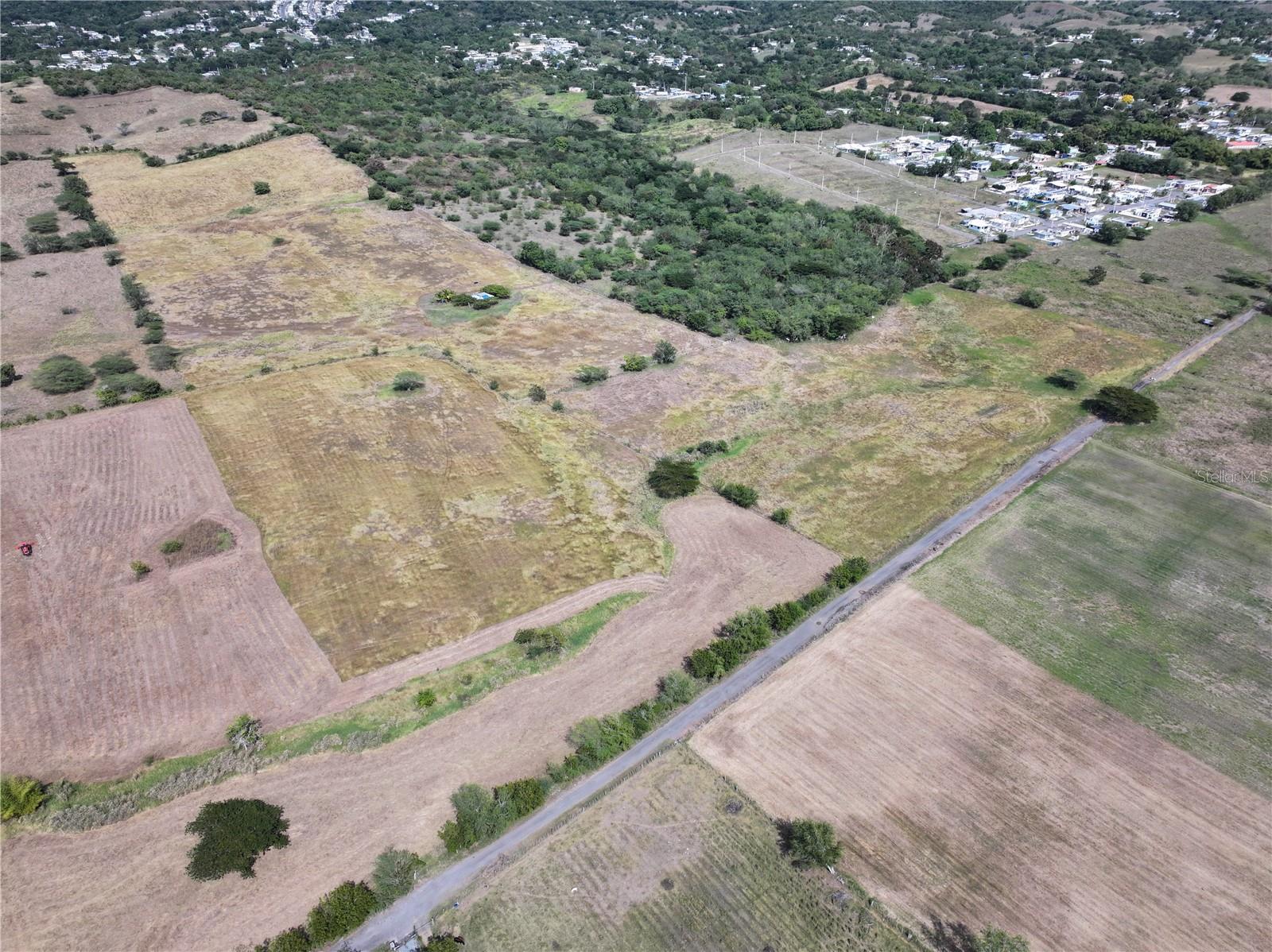 BOQUERON WARD SR 103 KM 11.9 LOT # 8