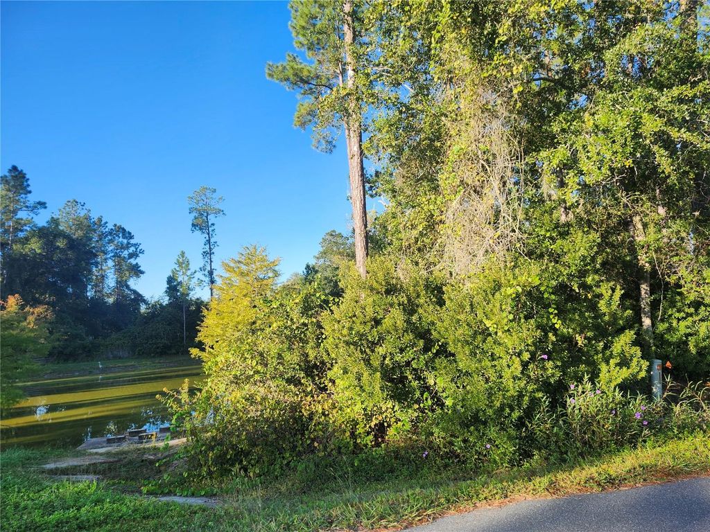 Photo of Tbd Redwood Track Course, Ocala, FL 34472 (MLS # OM711559)