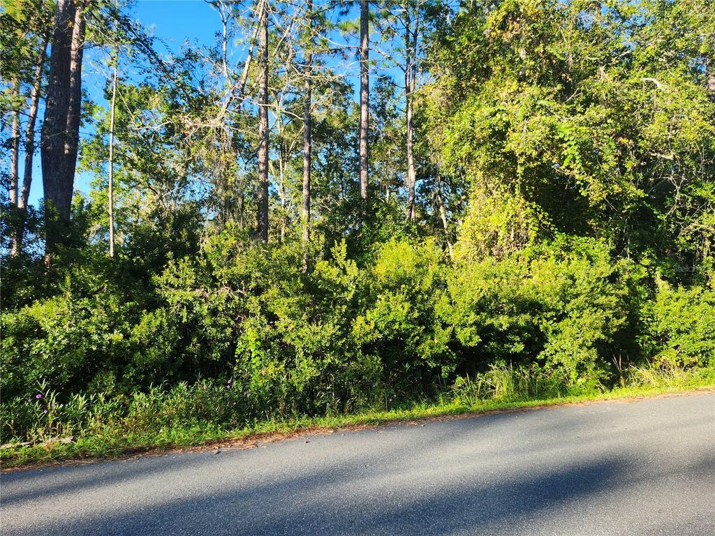 Photo of Tbd Redwood Track Course, Ocala, FL 34472 (MLS # OM711559)