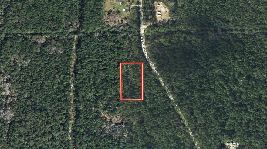 This 1.25-acre vacant parcel is located in the quiet rural community of Samsula, approximately a 15 minute drive from the Atlantic shoreline of New Smyrna Beach. Zoned Rural Agriculture (01A2), the property allows for residential and agricultural uses, making it a solid option for a custom home, manufactured home (subject to county approval), or a small homestead.

The lot is wooded and rectangular, providing natural privacy and the ability to clear selectively while keeping a buffer from neighboring properties. Access is nearby via S Samsula Drive, with the closest improved address approximately two lots away at 296 S Samsula Drive. The surrounding area features larger parcels and minimal development, creating a peaceful setting while still being within a reasonable drive to New Smyrna Beach, I-95, and local amenities.

Low holding costs and flexible zoning make this a strong opportunity for buyers seeking acreage in Volusia County.

Parcel Number: 7225-01-03-0100
Coordinates: 28.99520976, -81.04982173