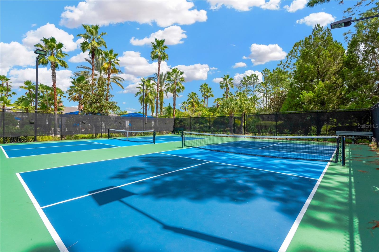 CLUB MANOR EAST OF GRAND HAMPT - Residential