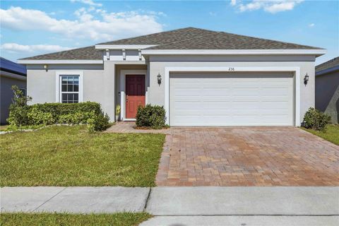 Photo of 236 Denali Street, Haines City, FL 33844 (MLS # S5141752)