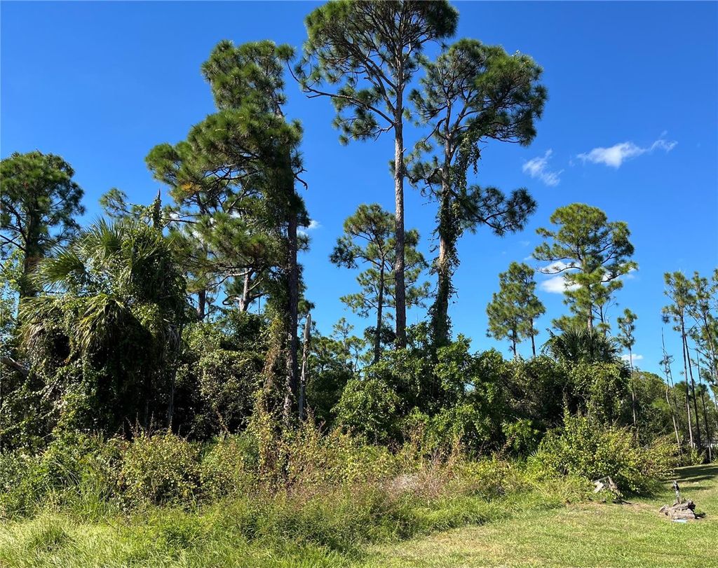 Photo of 23436 Steeple Avenue, Port Charlotte, FL 33980 (MLS # A4668969)