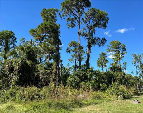 23436 STEEPLE AVENUE PORT CHARLOTTE FL 33980