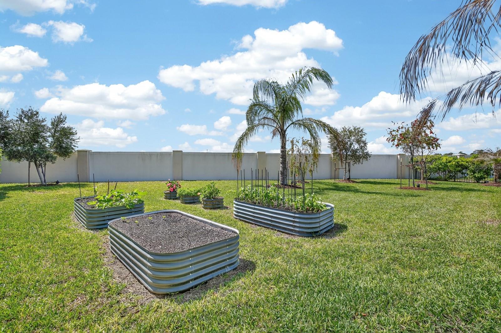 MARINA DEL PALMA - Residential