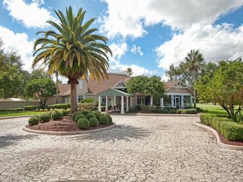 Tiny photo for 9096 Laurel Ridge Drive, Mount Dora, FL 32757 (MLS # G5111724)