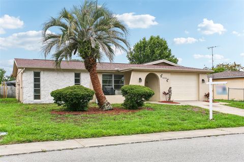 A home in PORT RICHEY