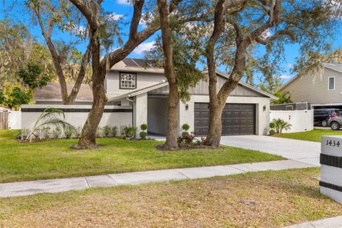 A home in VALRICO