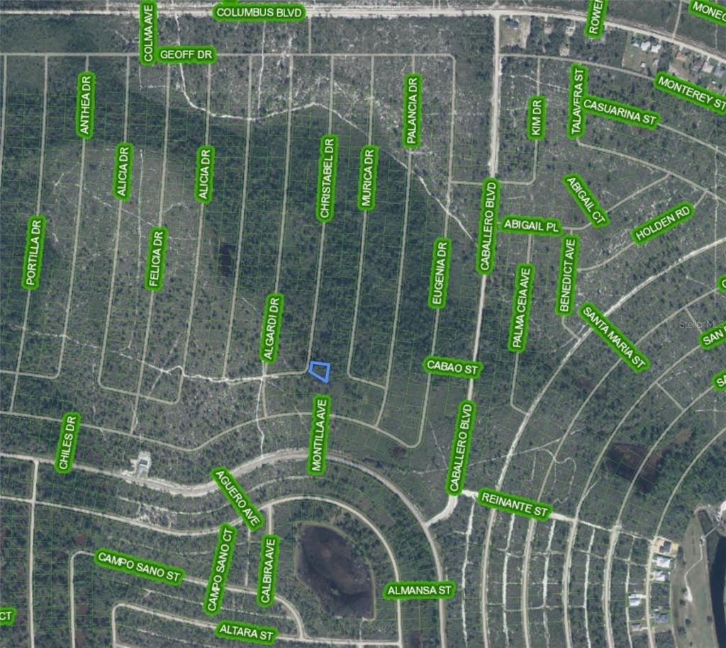 Photo of 6522 Christabel Drive, Sebring, FL 33872 (MLS # P4938549)