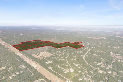 Tiny photo for 7759 N Freemantle Way, Dunnellon, FL 34433 (MLS # OM716776)