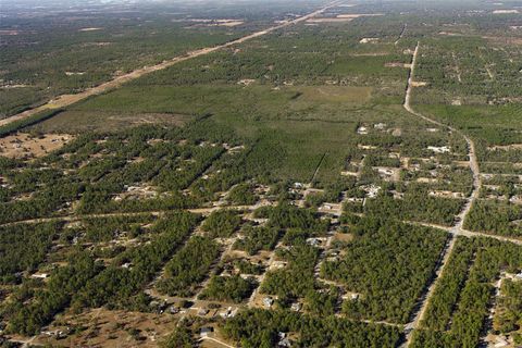 Tiny photo for 7759 N Freemantle Way, Dunnellon, FL 34433 (MLS # OM716776)