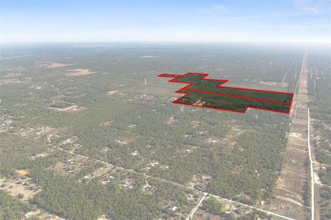 Tiny photo for 7759 N Freemantle Way, Dunnellon, FL 34433 (MLS # OM716776)