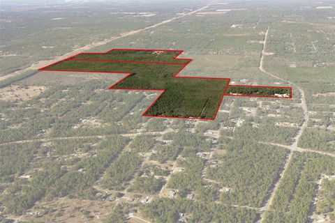 Tiny photo for 7759 N Freemantle Way, Dunnellon, FL 34433 (MLS # OM716776)