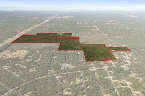 Tiny photo for 7759 N Freemantle Way, Dunnellon, FL 34433 (MLS # OM716776)