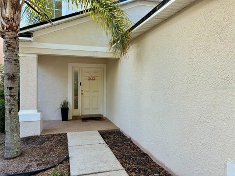 8026 Carriage Pointe Drive, Gibsonton, FL 33534