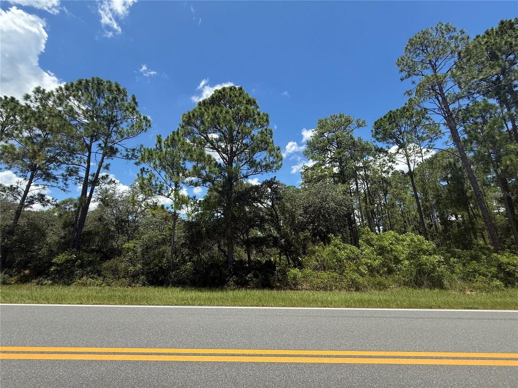 Photo of Fisher Rd, Ocklawaha, FL 32179 (MLS # OM706302)