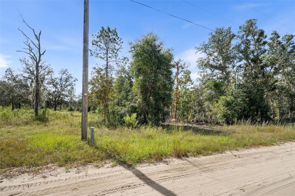 Photo of 0 NE 77 Place, Bronson, FL 32621 (MLS # GC534575)