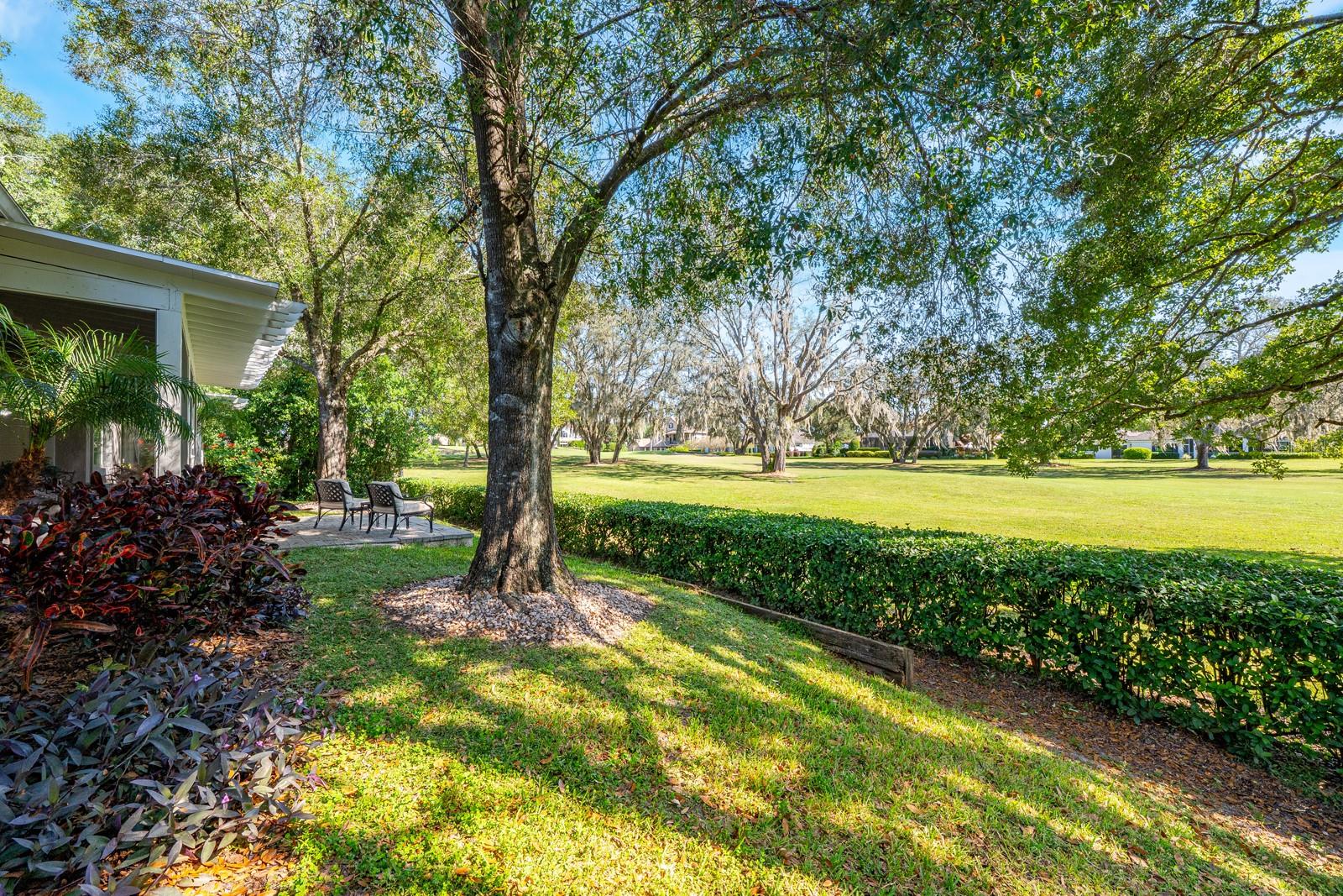 CHELSEA RIDGE - Residential