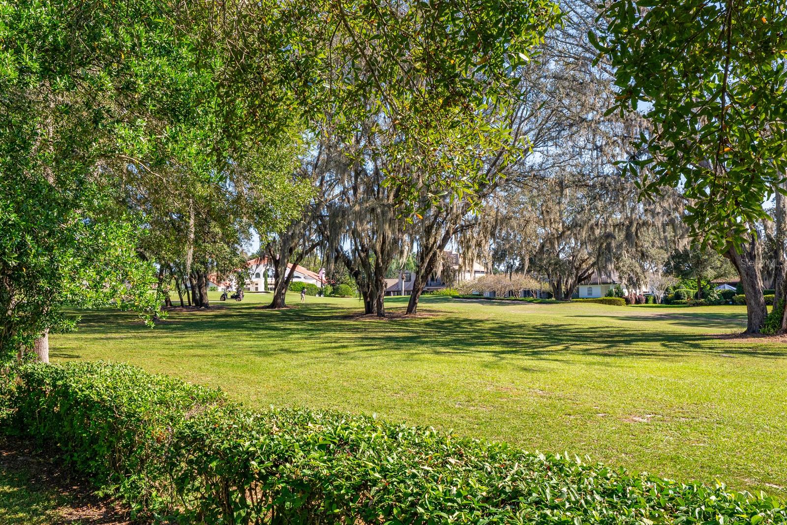 CHELSEA RIDGE - Residential
