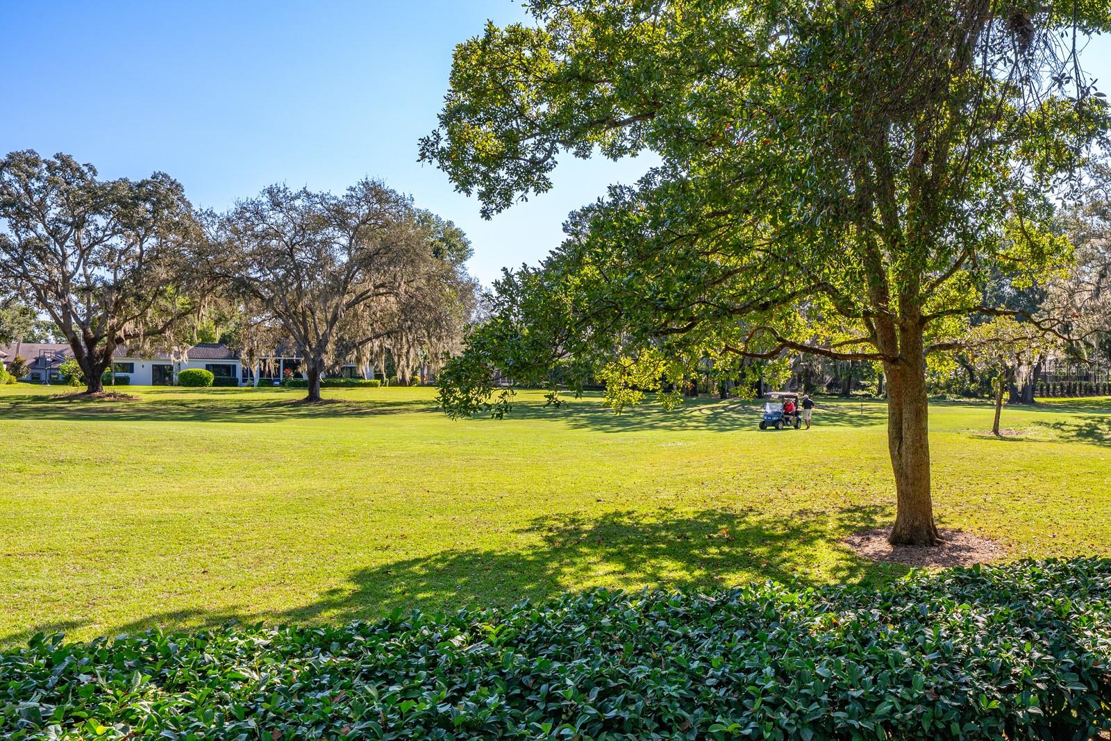 CHELSEA RIDGE - Residential