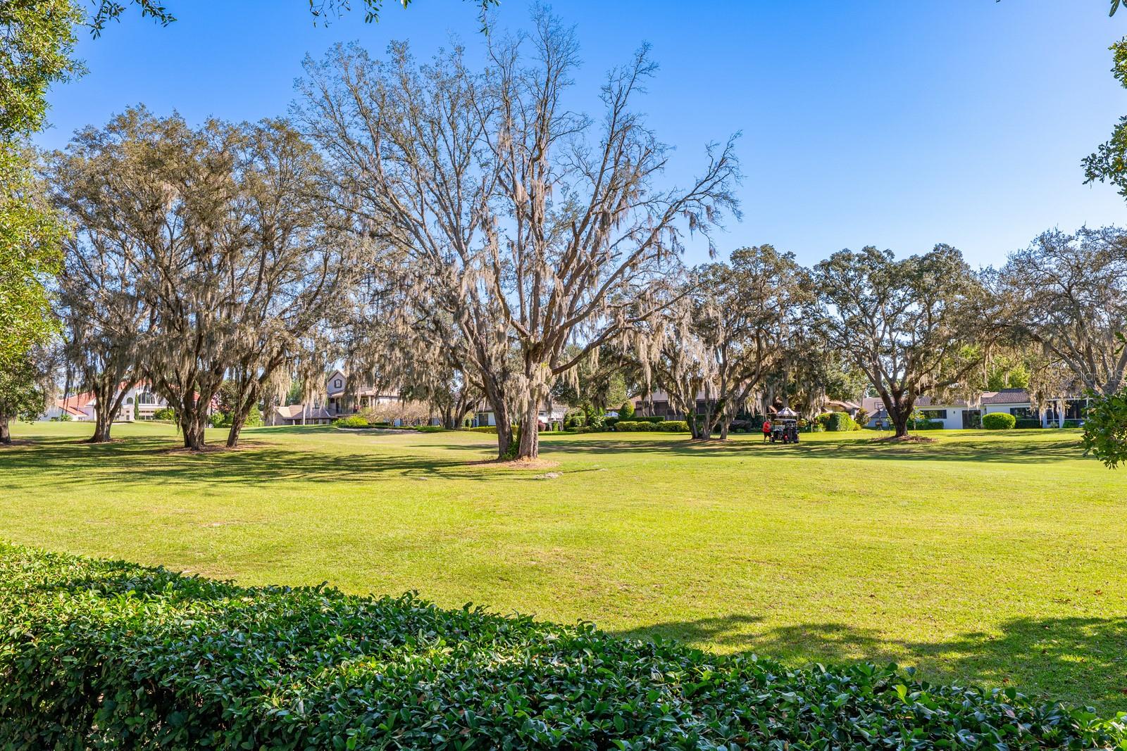 CHELSEA RIDGE - Residential
