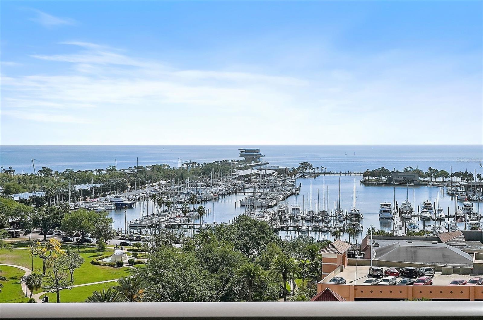 ONE ST. PETERSBURG - Residential