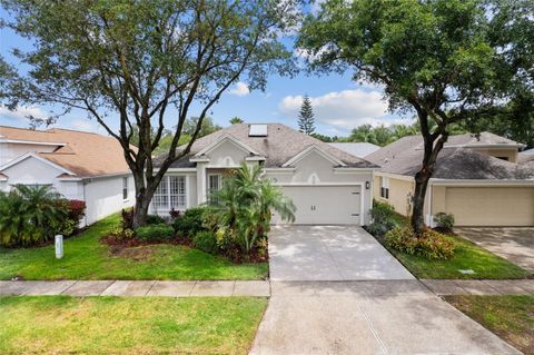 5628 TERRAIN DE GOLF DRIVE LUTZ FL 33558