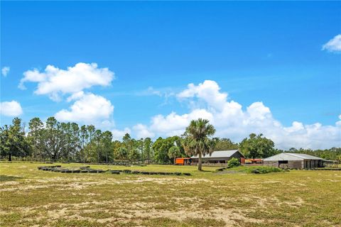 Tiny photo for 32708 Gere Lane, Sorrento, FL 32776 (MLS # O6346579)