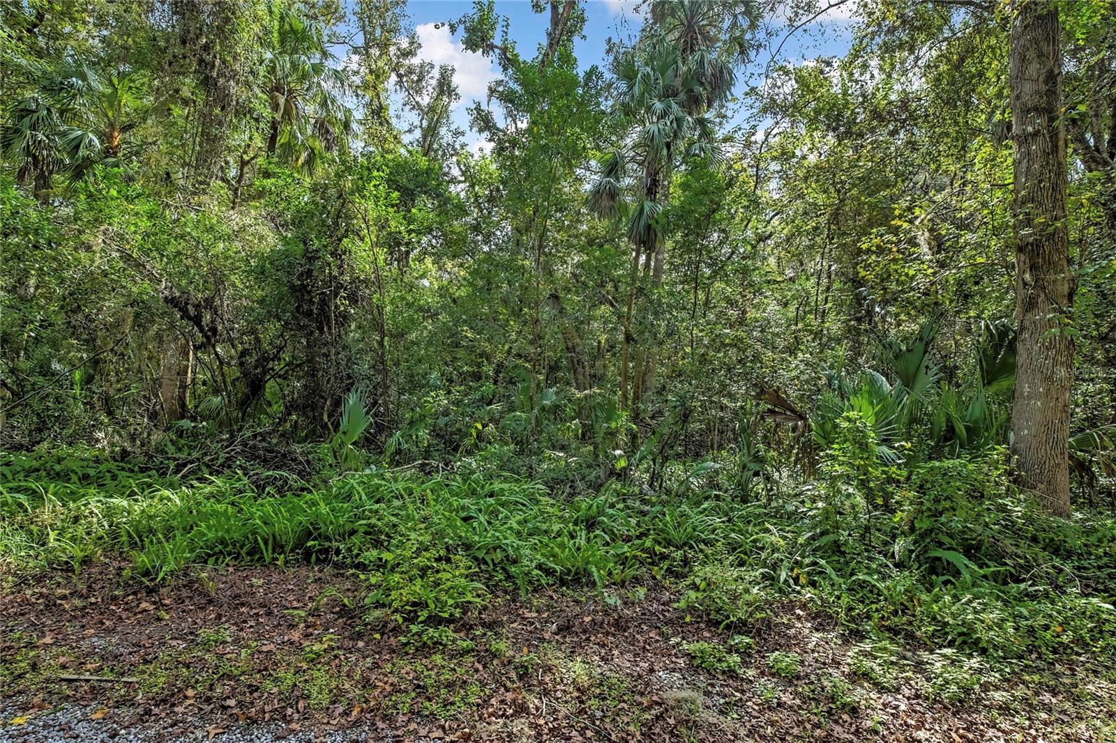 LAZY OAKS UNREC SUB - Land