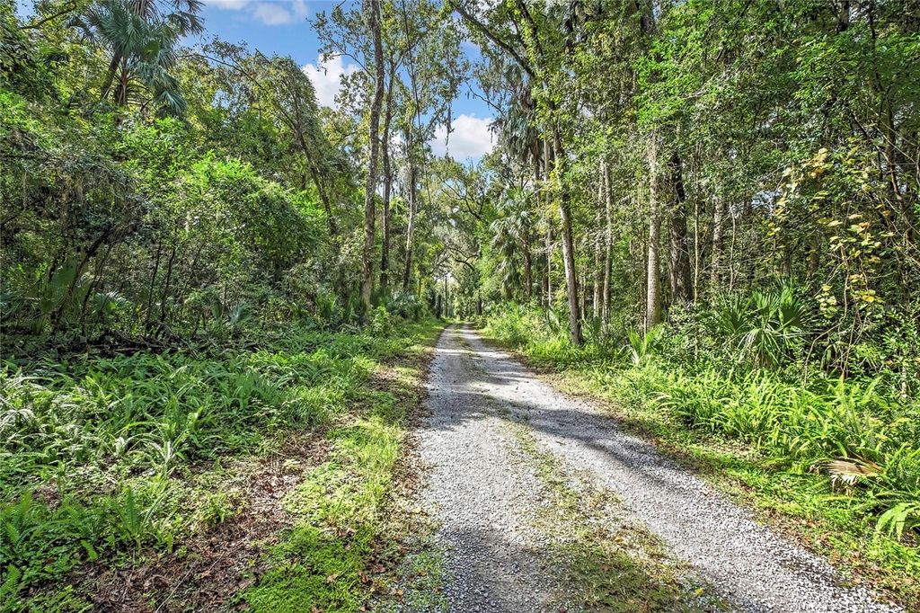 Photo of 9346 E Sleepy Oak Court, Inverness, FL 34453 (MLS # TB8440263)