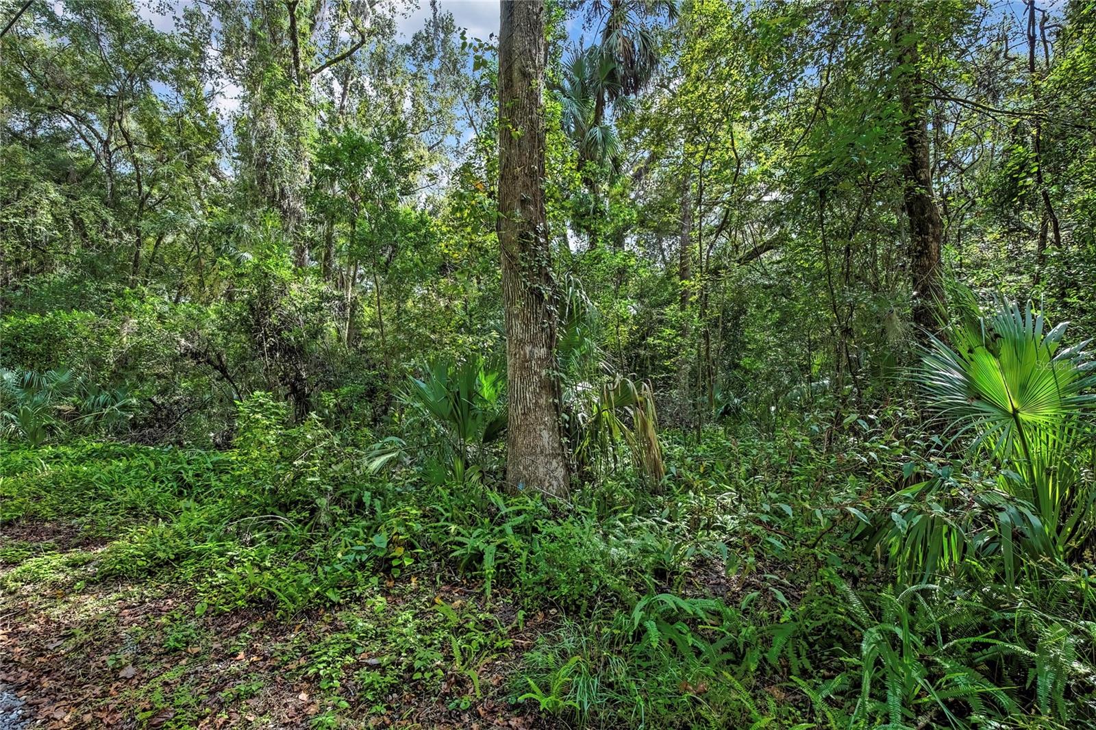 LAZY OAKS UNREC SUB - Land