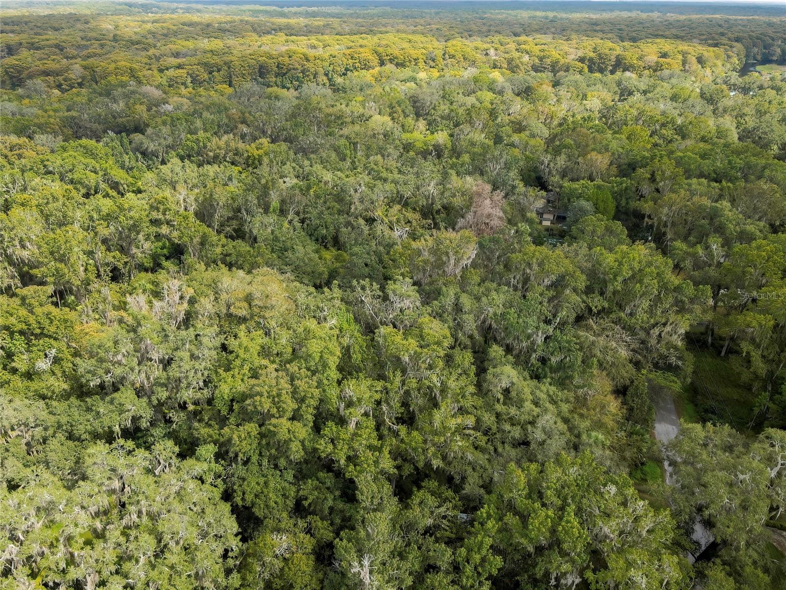 LAZY OAKS UNREC SUB - Land