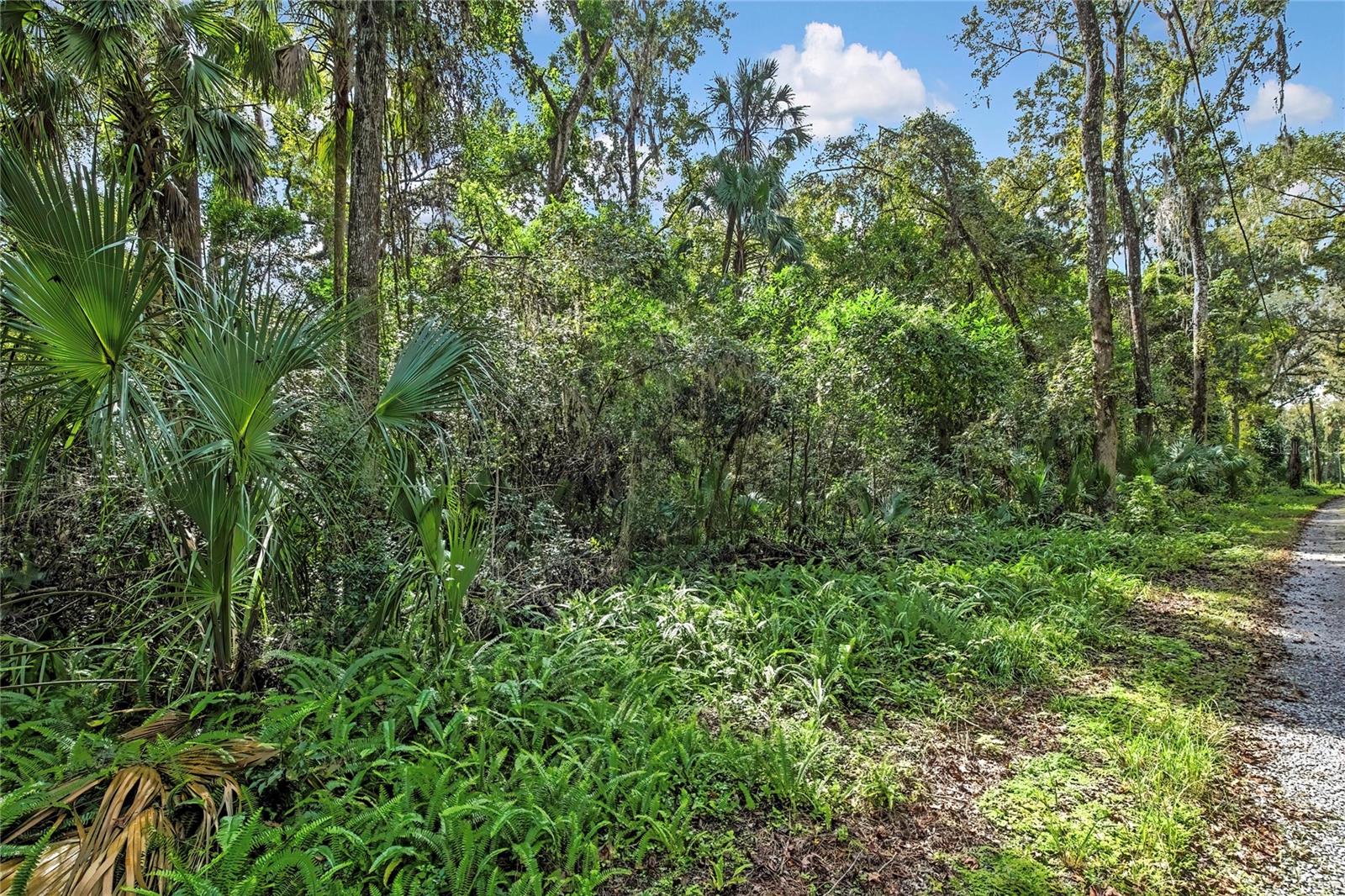 LAZY OAKS UNREC SUB - Land