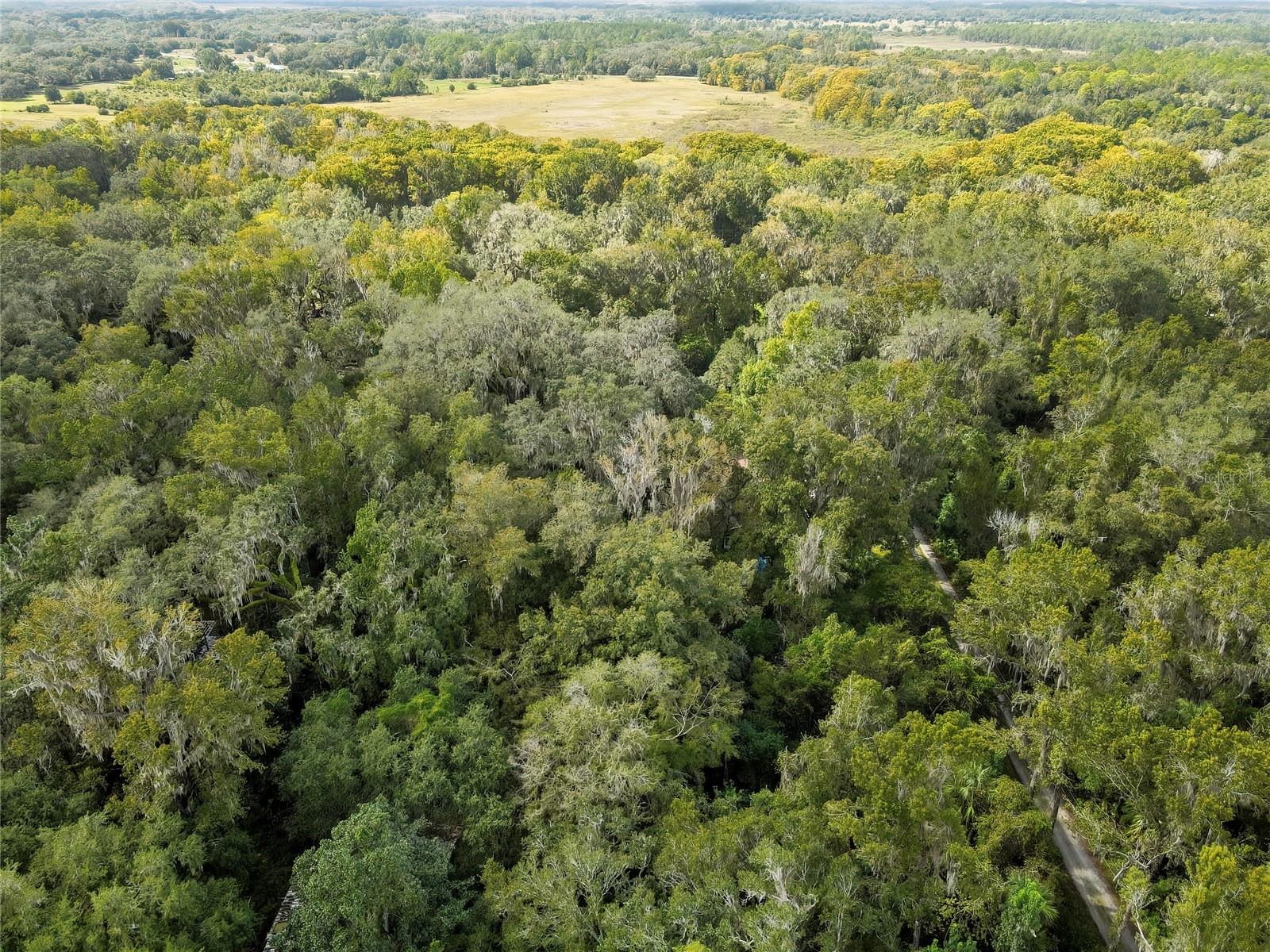LAZY OAKS UNREC SUB - Land