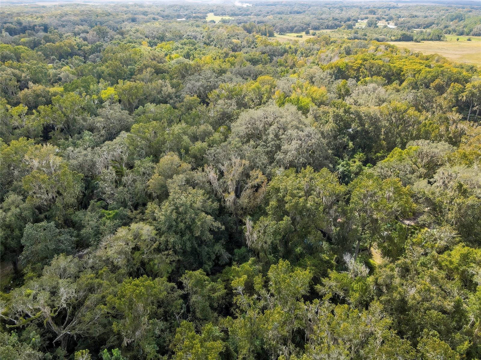 LAZY OAKS UNREC SUB - Land