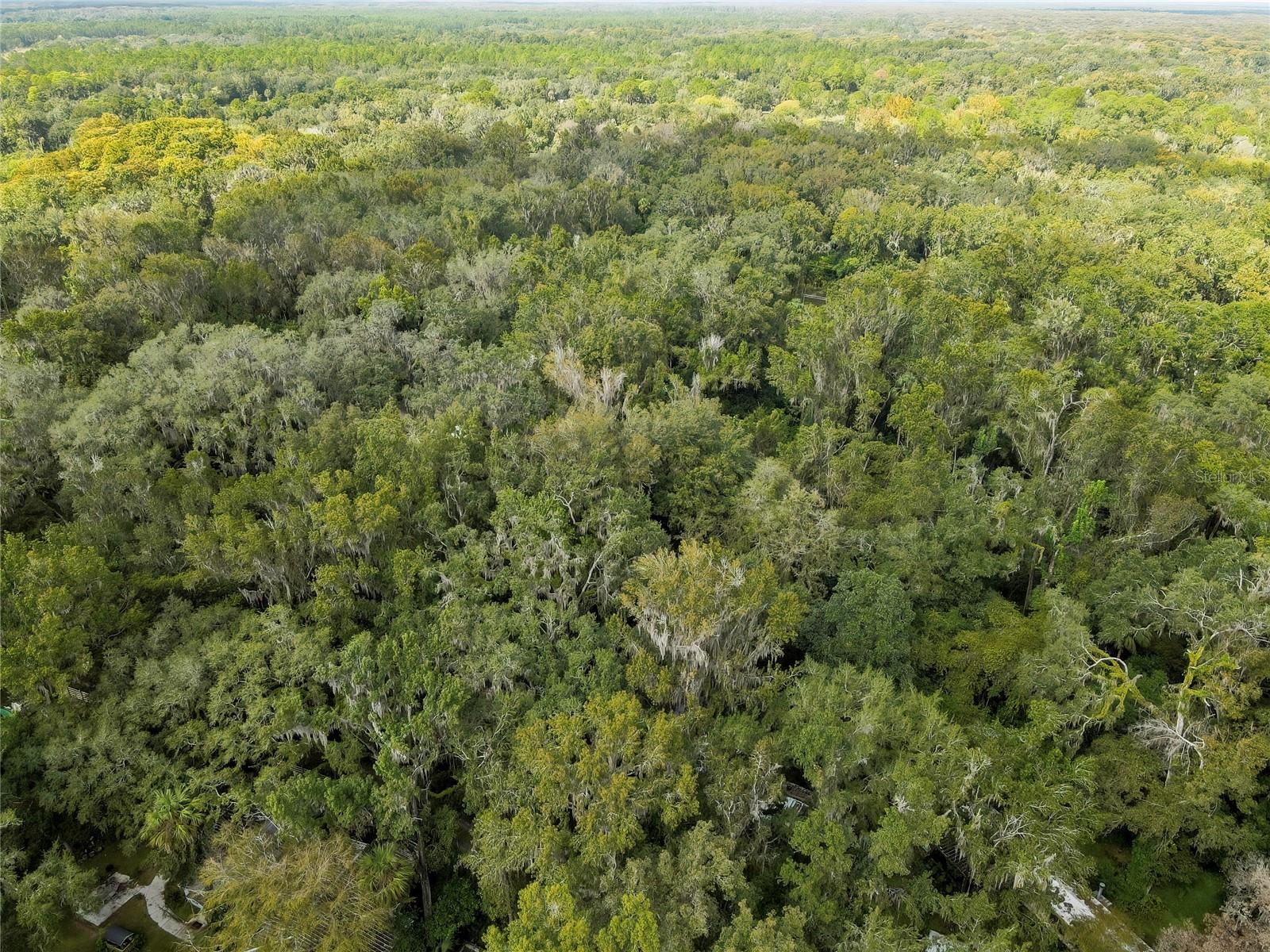 LAZY OAKS UNREC SUB - Land
