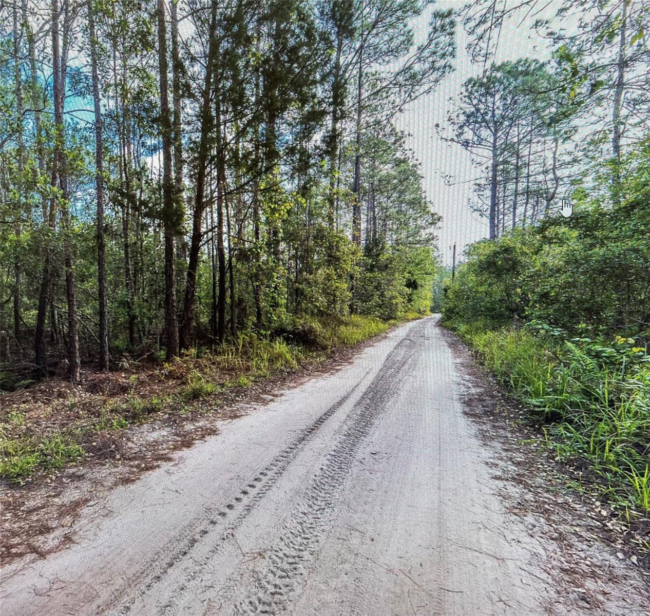 1.5 Acres for a great price.; Cleared: No