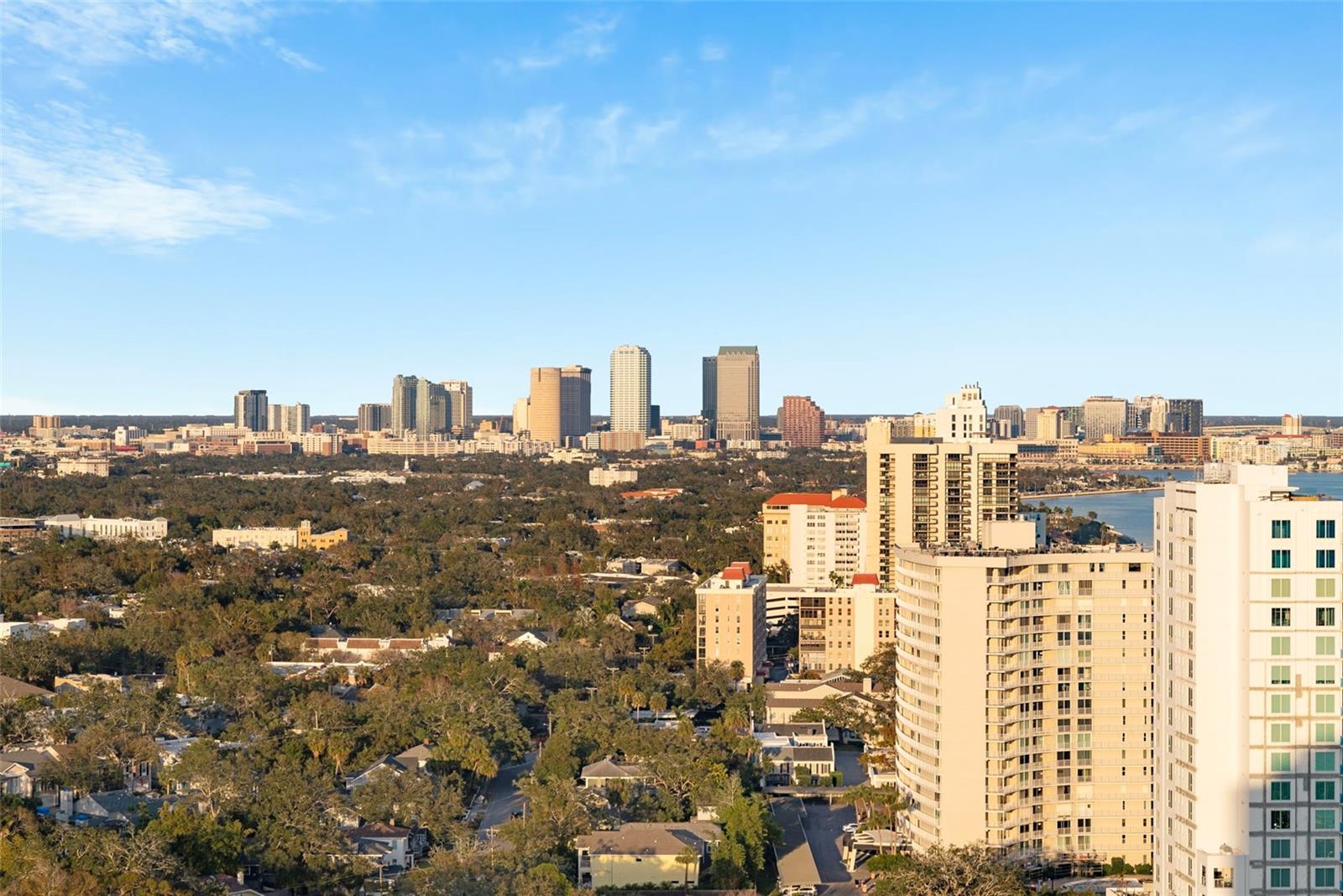 ALTURA BAYSHORE - Residential