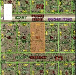 This lot is located conveniently in the heart of Florida WITH Half An ACRE OF LAND! Within the community, which offers golf,pickleball,and boating amenities.