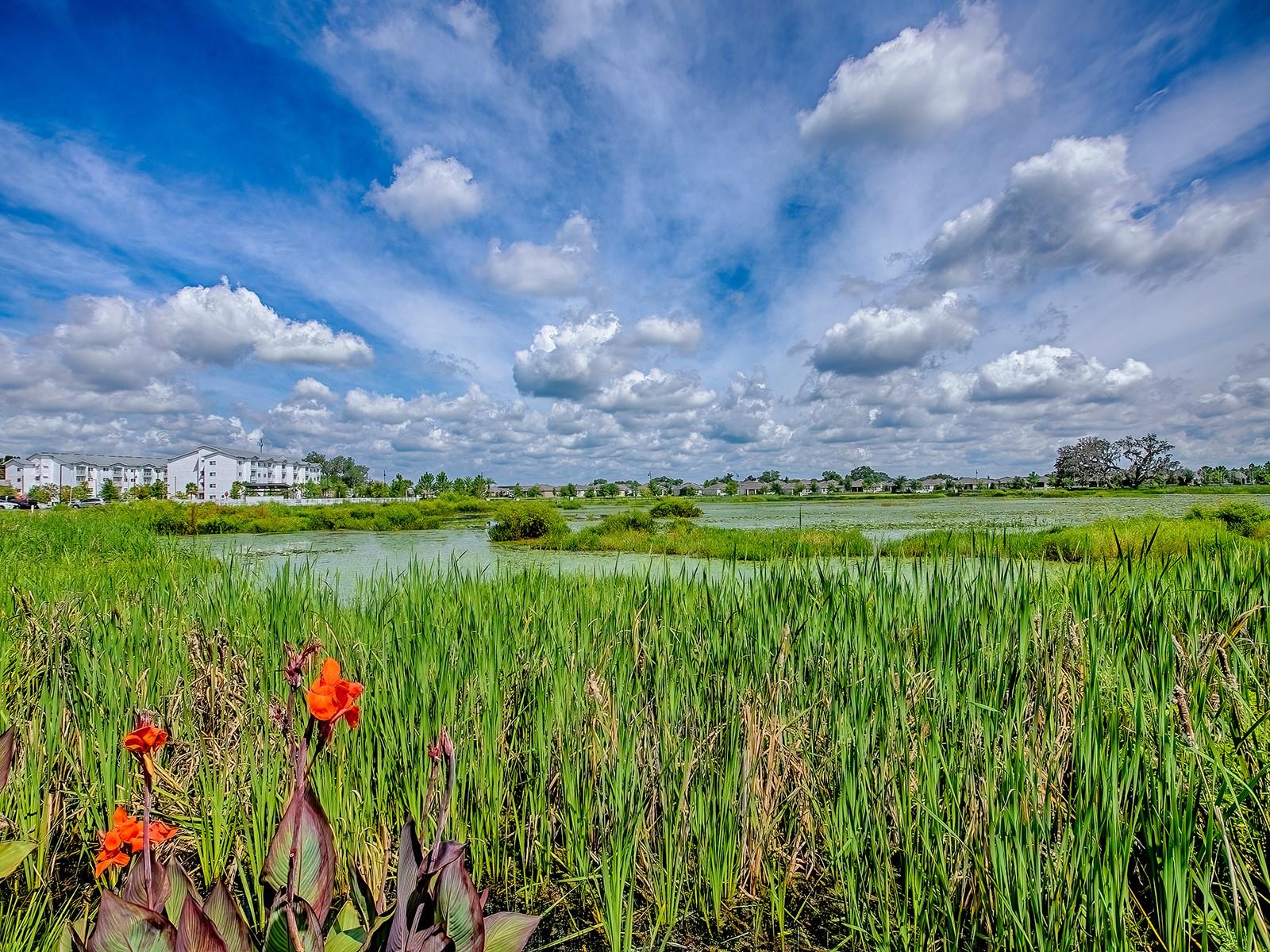 5230 DRAGONFLY DRIVE