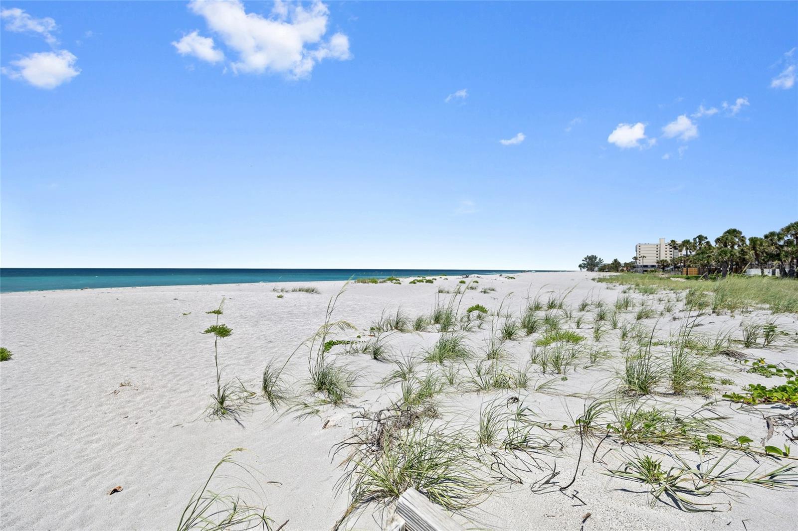 GOLDEN BEACH CONDO RESIDENCE - Residential