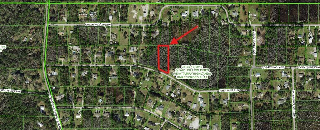 Photo of 000 Pheasent Run, Wesley Chapel, FL 33544 (MLS # O6329747)