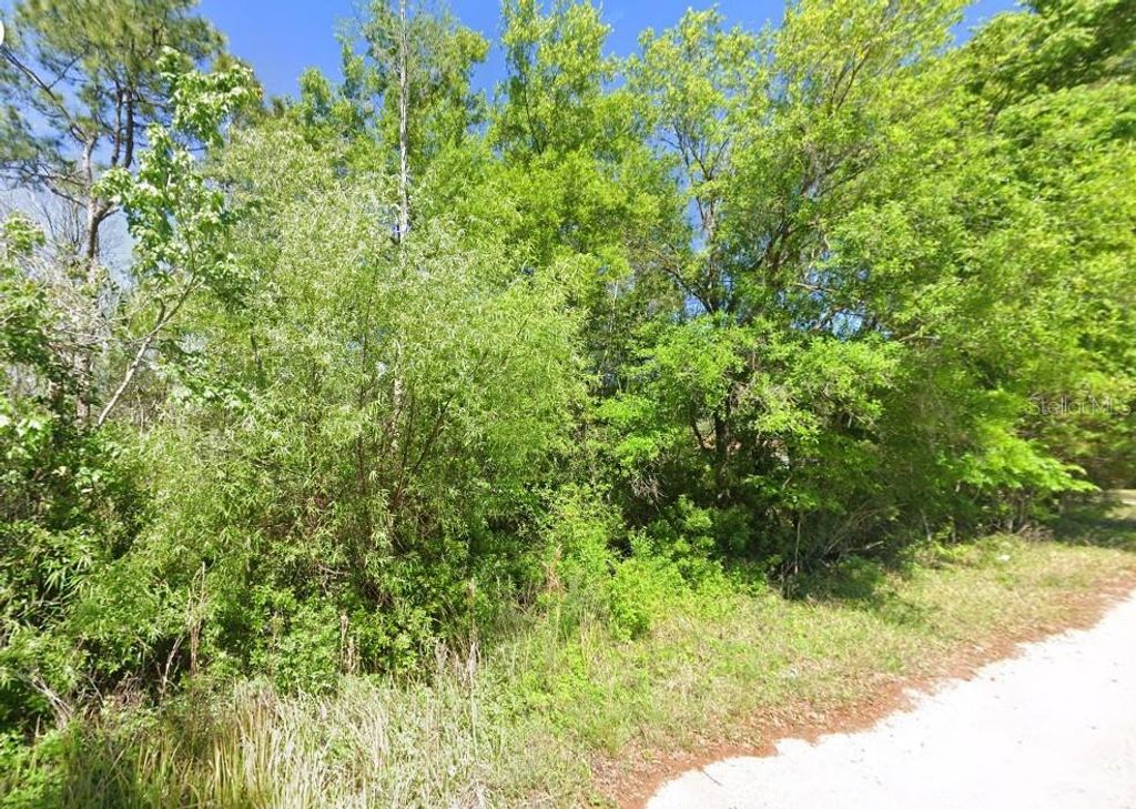 Photo of 000 Pheasent Run, Wesley Chapel, FL 33544 (MLS # O6329747)
